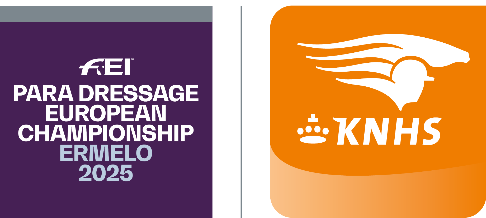 European Championship Para Dressage